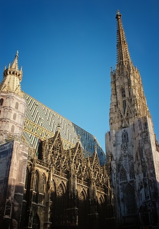 Exterior fragment from Stephansdom cathedral - Vienna, Austriaの写真素材