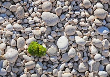 White pebble beach on the island of Kefalonia, Greeceの写真素材