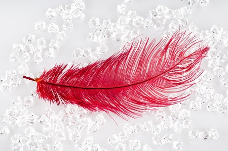 The white crystals and the red feather .の写真素材