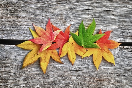 The color leaves on the wooden background - HDR.の写真素材