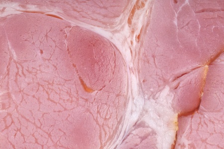 The detail shot - a pink background - hamの写真素材