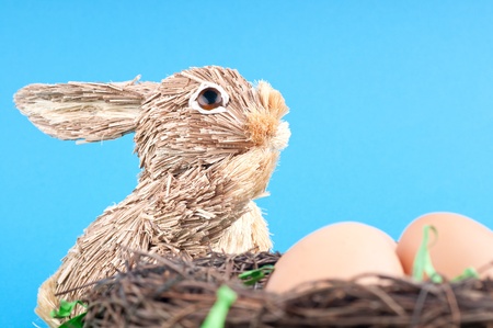 The rabbit and egg on a blue background