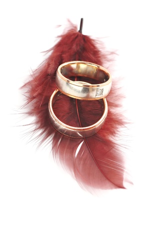 Wedding rings and red feather . の写真素材