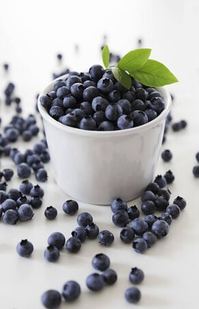 The Blueberries in a white bowlの写真素材