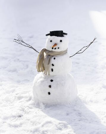 The snowman with carrot, scarf and potの写真素材