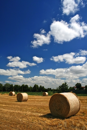 Veneto, Italy.の写真素材