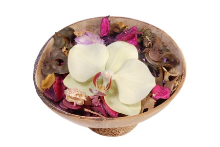 Orchid in wood bowl isolated on white background の写真素材