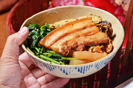 Taiwan s famous cuisine - stewed pork  and rice の写真素材
