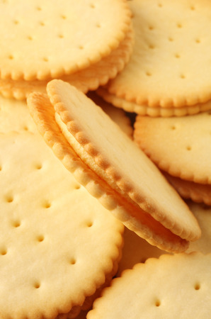 Close up of multi-Lemon-flavored pizza sandwicの写真素材