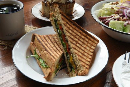 Healthy panini sandwiches