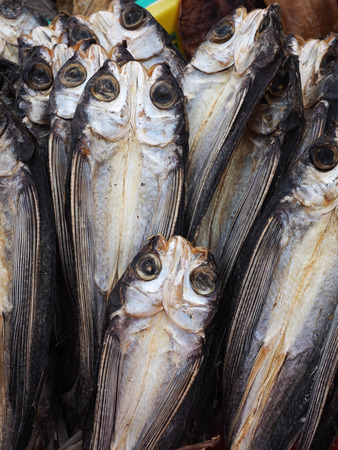 Dried fish at the market in taiwanの写真素材