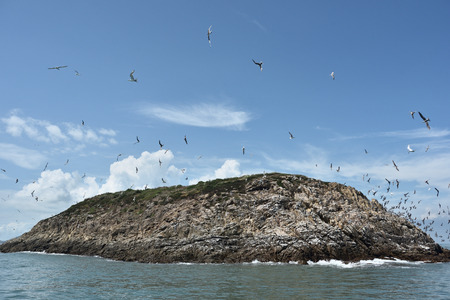 Seagulls flying off the island at Matsu Island, Taiwanの写真素材