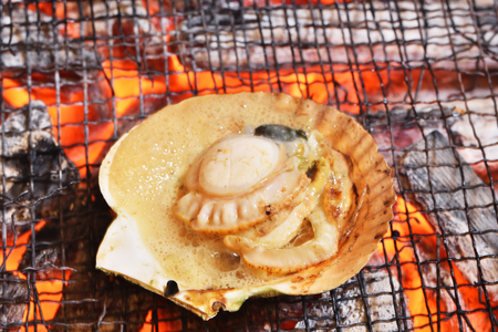 Fresh japanese scallop hotate with shell on the grill with flamesの写真素材