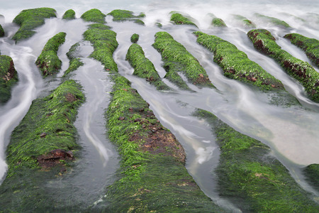 Laomei green reef at the north coast of Taiwan.の写真素材