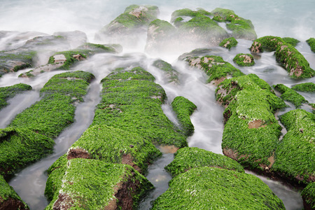 Laomei green reef at the north coast of Taiwan.の写真素材