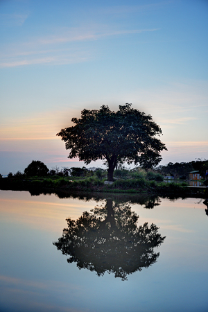 Beautiful scenery sunset sky view of lake and trees reflection in water,Tianxinzi, Sanzhi, New Taipei City, Taiwanの写真素材
