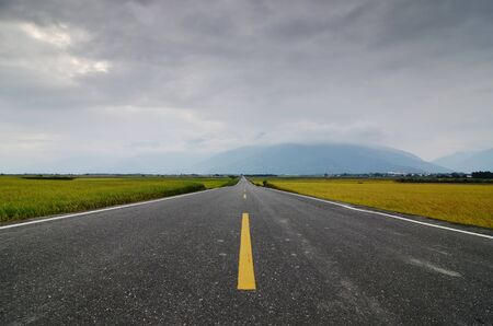 The road pass trough green rice farm at Taitung, Taiwan
