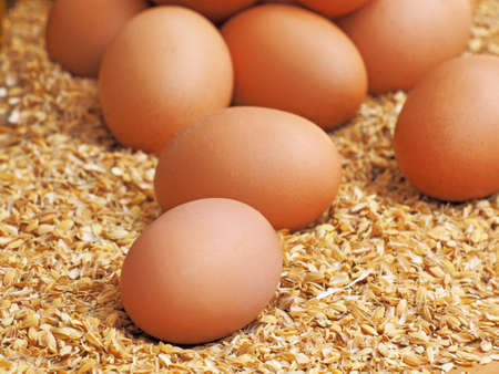Close up of raw brown eggs