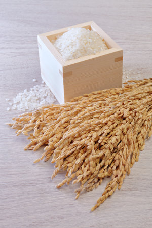 White rice in wooden cup with paddy rice ears on wooden background.の写真素材