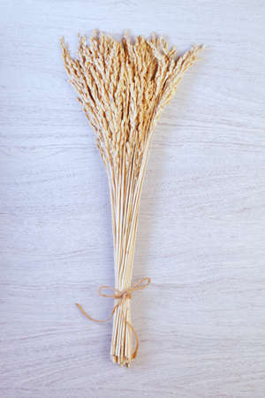A bunch of rice ears isolated on wooden backgroundの写真素材
