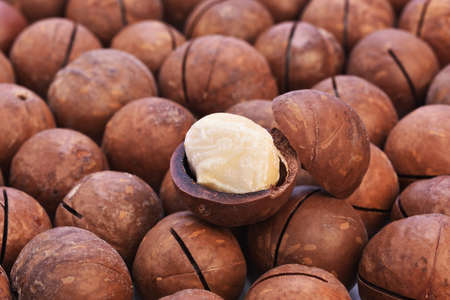 A pile of roasted macadamia nutsの写真素材