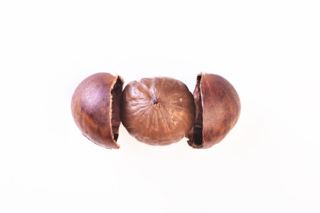 Sweet chestnut isolated on white background.の写真素材