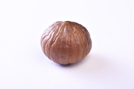 Sweet chestnut isolated on white background.の写真素材