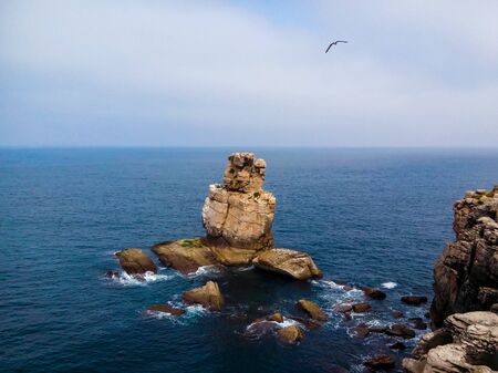 Fantastic rocky structure in the shore of Peniche, Portugal, with a seagull flying byの写真素材