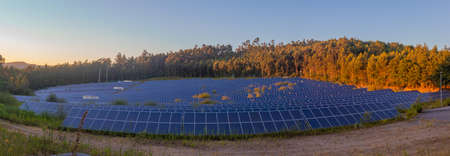 Group of solar panels during the sunset, at golden hour