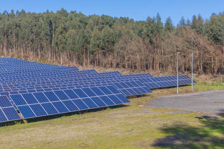 Grass field with photovoltaic panels on a summer day