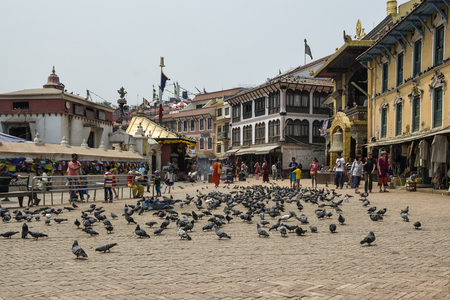 Pigeons around the famous attraction Buddhist Shrine Boudhanath Stupa, Kathmandu, Nepal.のeditorial素材