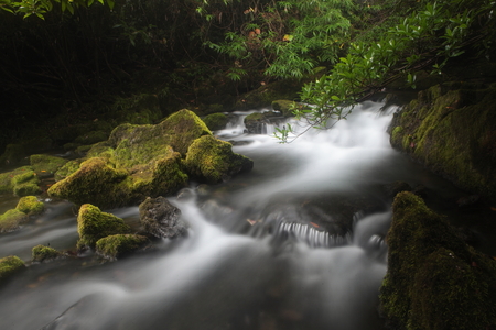 River scenery at Maolan Reserve, Libo County, Guizhouの写真素材