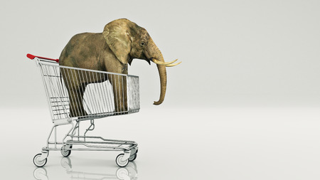 Cute baby elephant in shopping cart isolated on white background. 3D renderingの写真素材