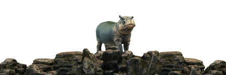 hippopotamus at sunset. 3d render