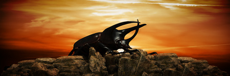 Dynastes hercules at sunset. 3d render