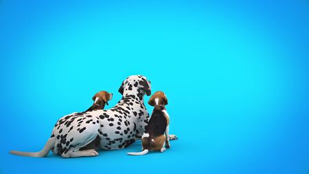 Dog Waiting By Front Door. 3d renderの写真素材