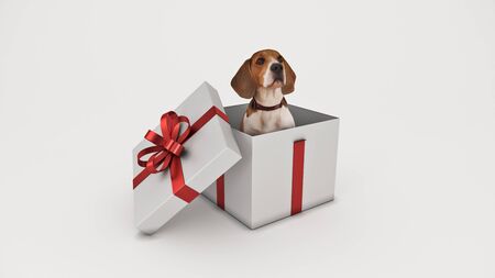 Dog Birthday Party. 3d renderの写真素材