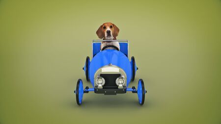 dog driving toy car. 3d renderの写真素材