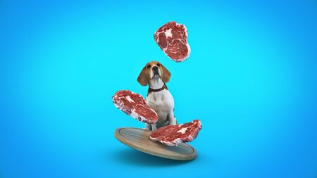 dog watching falling pieces of meat. 3d renderの写真素材