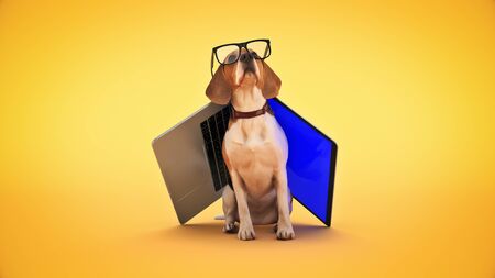 business concept pet dog using laptop computer. 3d renderの写真素材