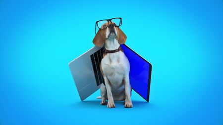 business concept pet dog using laptop computer. 3d renderの写真素材