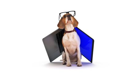 business concept pet dog using laptop computer. 3d renderの写真素材