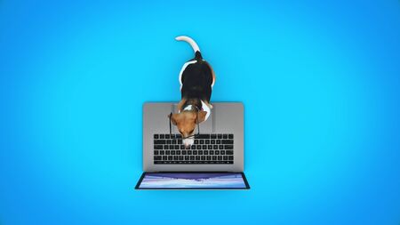 business concept pet dog using laptop computer. 3d renderの写真素材