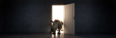 rhino enters an open door, 3d renderingの写真素材