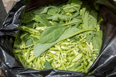 Collard greens scraps were discarded in black bags