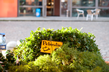 Fresh different kind of salads ready for selling at the local market bench. Hamburg, Germanyの写真素材