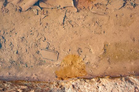 Mali, Africa. Dirty water puddles in a rural village near Bamako containing an old ruined film slide for photographyのeditorial素材