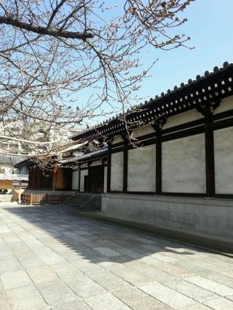 Japanese temple in autumnの素材