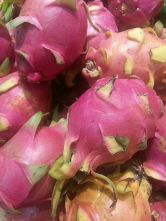Dragonfruitsの素材