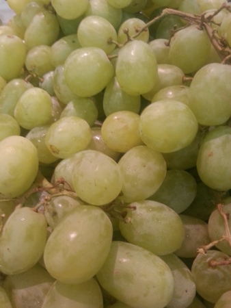 Green grapesの素材